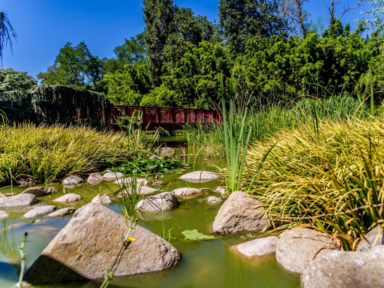  Jardin  des Plantes de Saint Cyprien Office de Tourisme 